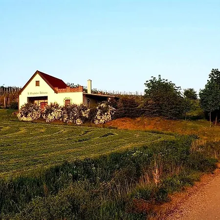 Hajloch Vesna Casa vacanze *
