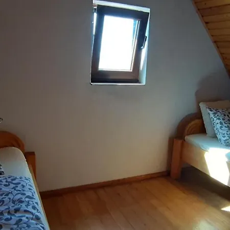 Hajloch Vesna *